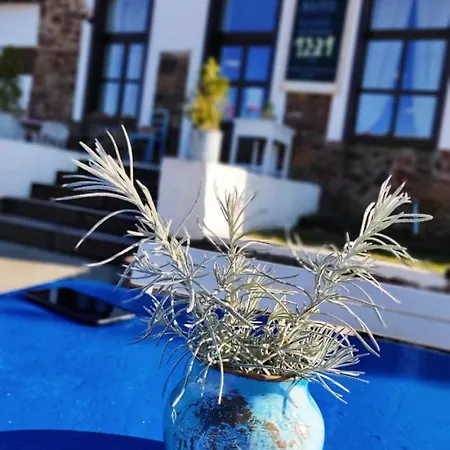 Zanka Villa Case de vacanță